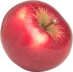 �������� � ��������