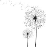 �������� � ��������