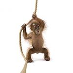 �������� � ��������