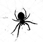 �������� � ��������