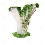 �������� � ��������