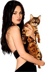 �������� � ��������