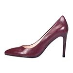 �������� � ��������